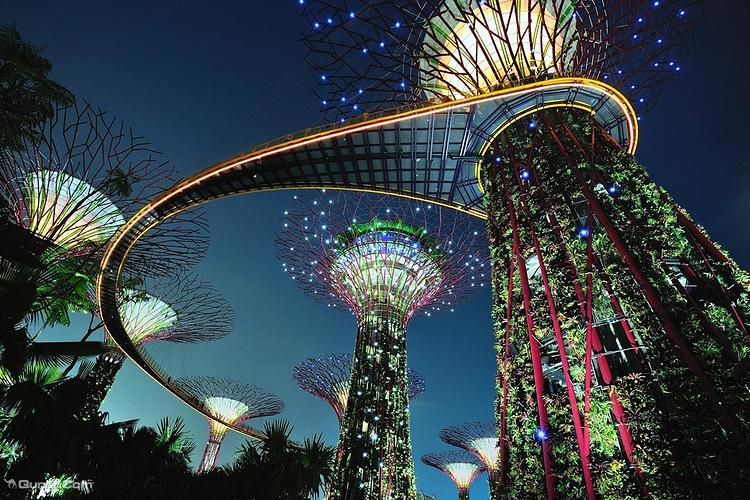 請問青島到安陽大巴一天有幾班，幾點，多少錢